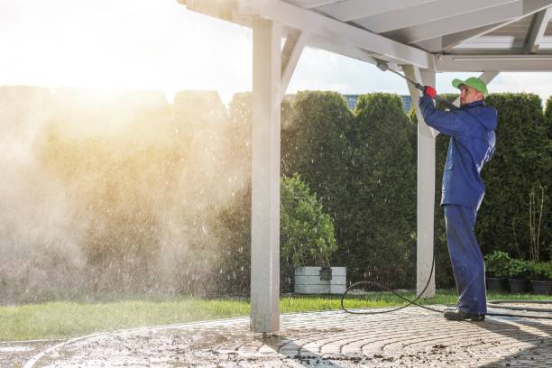 Best Soft Washing  in Inglis, FL